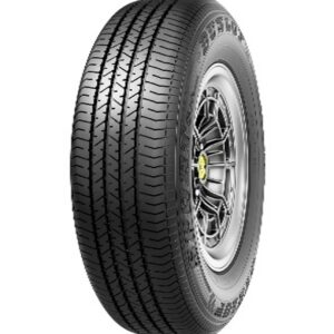SBPL_DUNLOP 255/70R15 108T AT5 OWL