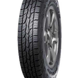 SBPL_DUNLOP 285/65R17