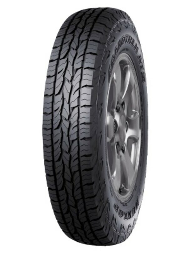 SBPL_DUNLOP 285/65R17