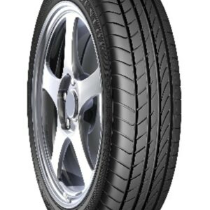 SBPL_DUNLOP 225/45R18 DZ101 91W