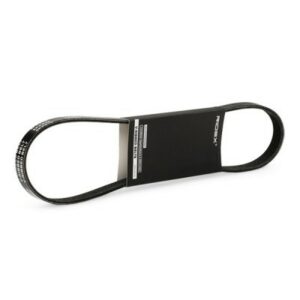 SBPL _Courroie Poly-V / 305P0025