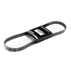 SBPL_Courroie Poly-V / 305P0054
