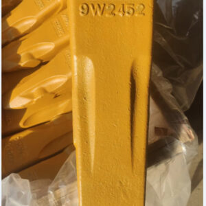 SBPL_533-2586: EXTRÉMITÉ DE RIPEUR - SEM