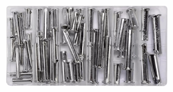 SOBEMAT_ASSORTIMENT DE 60 BOULONS DE SÉCURITÉ / inoxydable