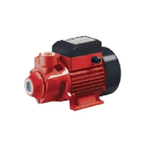SOBEMAT_POMPE À EAU 0,5 CV // QB60 / YT-85310